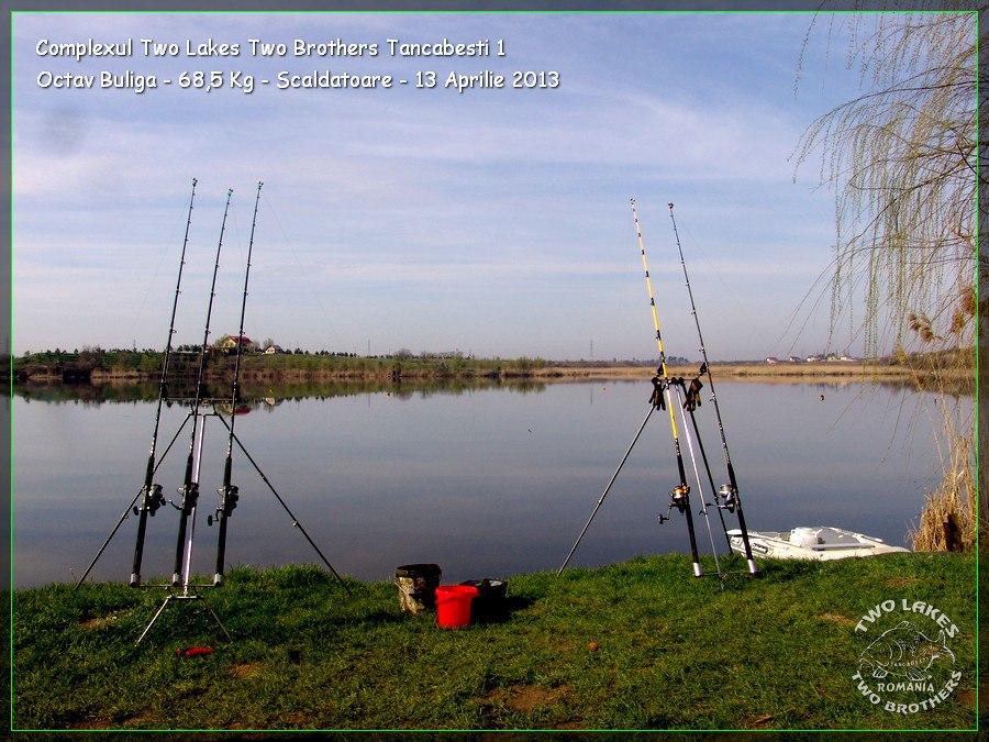 catfish pe tancabesti - 564681378822158898194597850407n.jpg